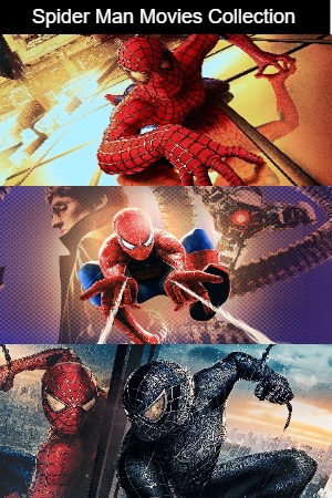 SkymoviesHD Spider Man 2002+2007 Hindi+English 3 Movies Collection BluRay 480p 720p 1080p Download