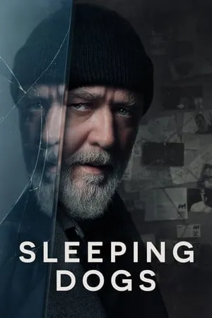 SkyMoviesHD Sleeping Dogs 2024 English Full Movie WEB-DL 480p 720p 1080p Download